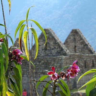 machu-picchu-2471343_640